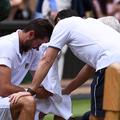 marin čilić, wimbledon