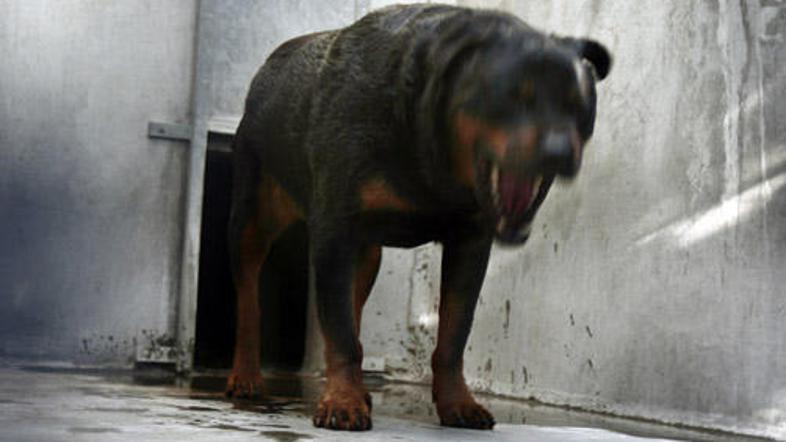 (Slika je simbolna) © AFP