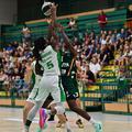 KK Krka Cedevita Olimpija