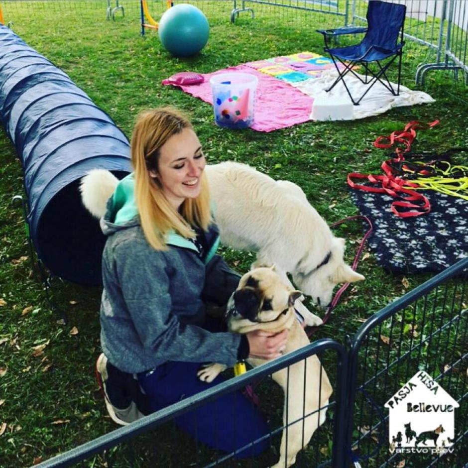 Festival čokolade - pasji vrtec | Avtor: Pasja Hiša