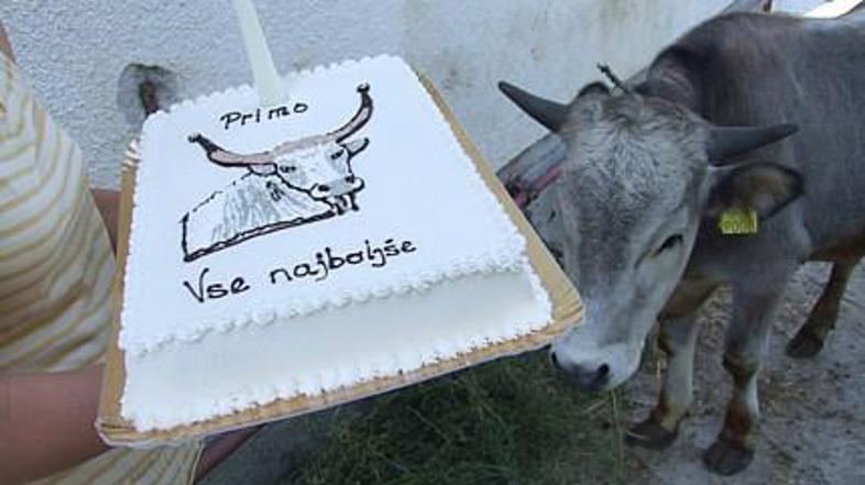 Člani društva Boškarin so mu pripravili tudi torto.