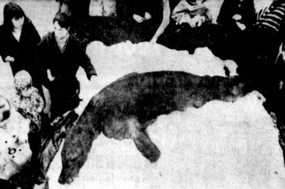 prvi april | Avtor: Žurnal24 main