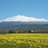 Etna, Sicilija, Italija