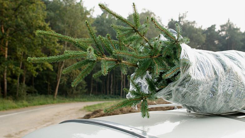 Avto in božično drevo