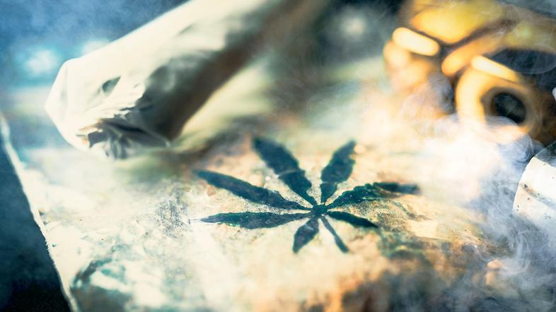 konoplja marihuana joint zvitek