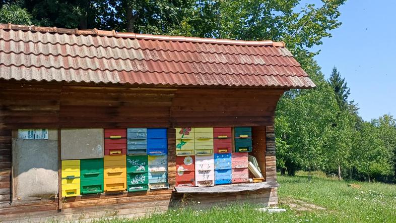 čebelnjak Župa medved