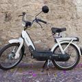 Moped ciao