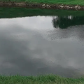 kolpa