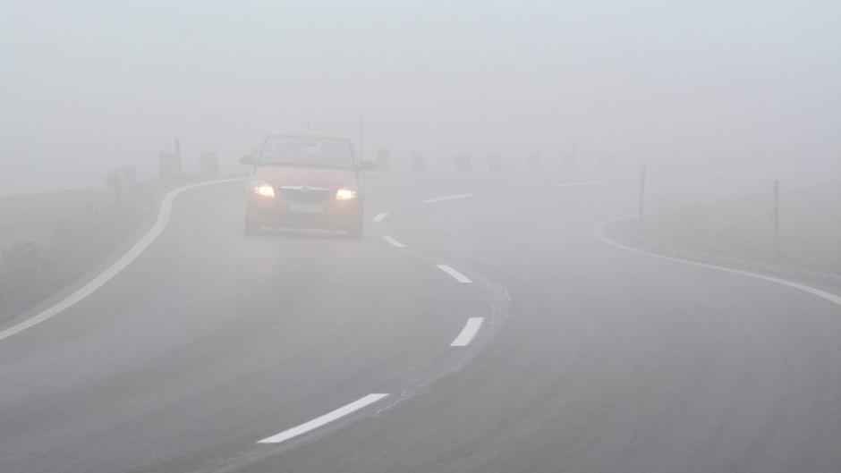 Megla | Avtor: Profimedias