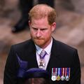 princ Harry