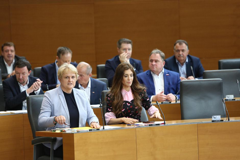 Poslanska skupina SDS | Avtor: Martina Čuk/Državni zbor