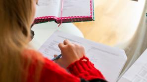 domača naloga zvezek šola učenec učenka otrok