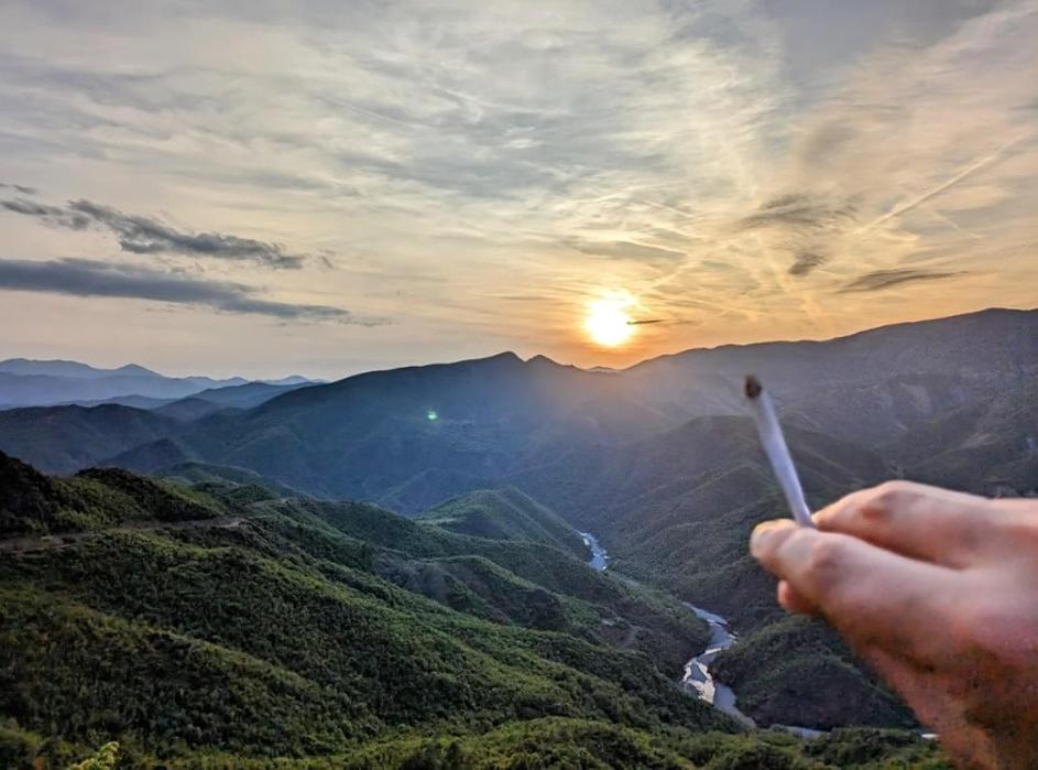 konoplja marihuana joint zvitek