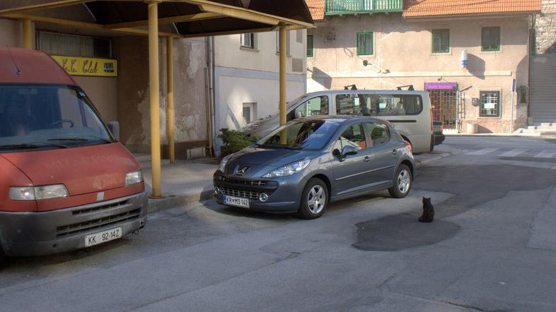 200 evrov je predvidena kazen za odlaganje hrane in hranjenje živali na javnih p