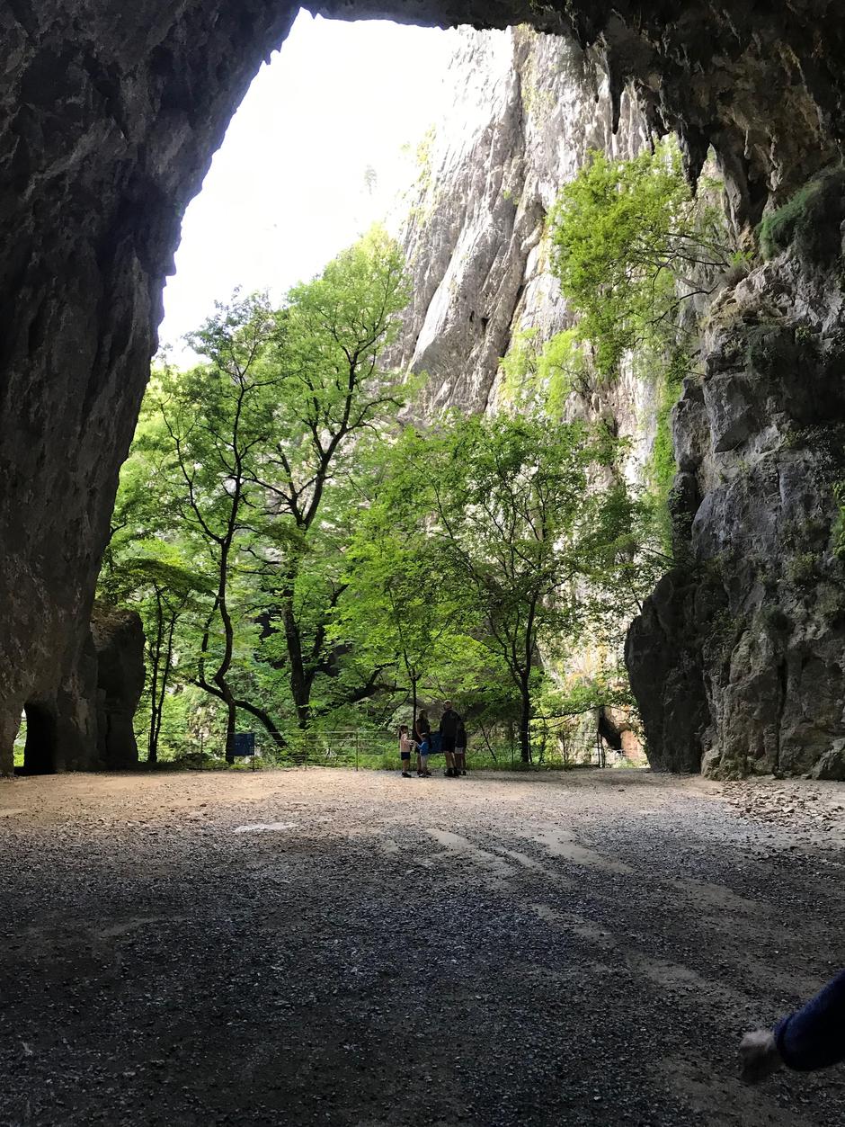 Park Škocjanske jame | Avtor: Žurnal24 