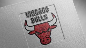 Chicago Bulls