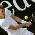 Bernard Tomić v Wimbledonu