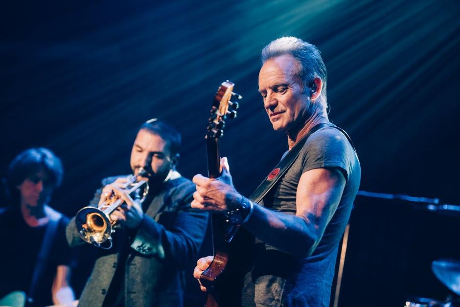 Sting | Avtor: EPA