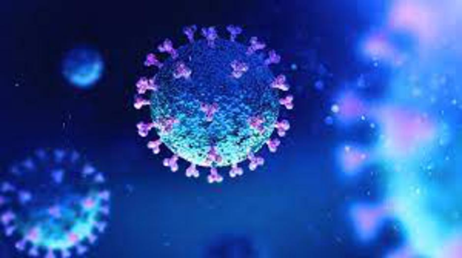 pirola covid-19 | Avtor: X