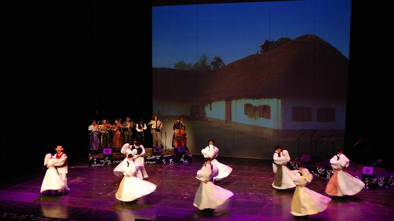 90-letnico bodo obeležili v Gallusovi dvorani Cankarjevega doma. (Foto: KUD Tine