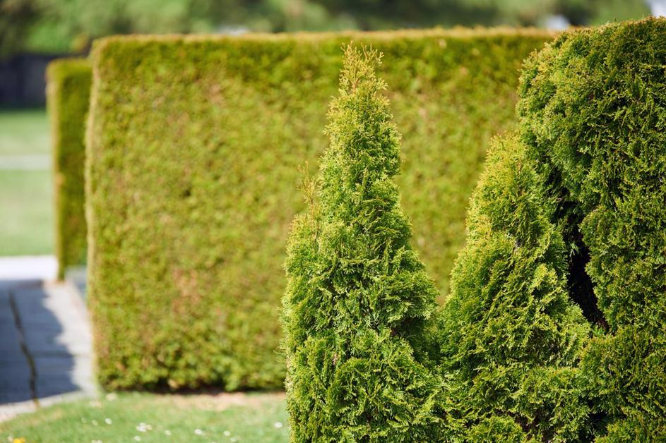 Mestno pokopališče Kranj