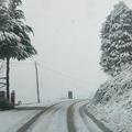 Sneg, zasnežena cesta