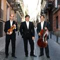 Trio Arbos
