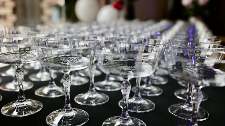 evropske volitve 2024, Svoboda