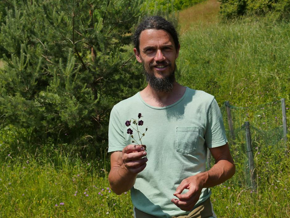  | Avtor: Istok Markoja