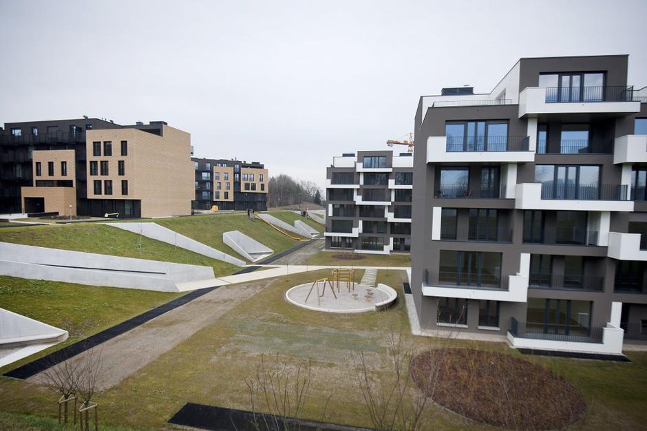 zeleni gaj | Avtor: Anže Petkovšek