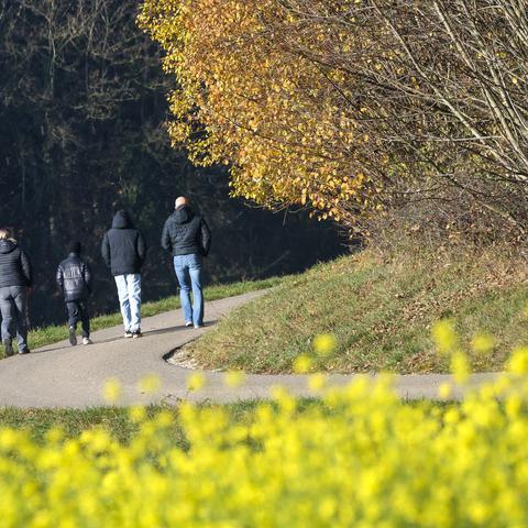 jesen sprehajalci sonce