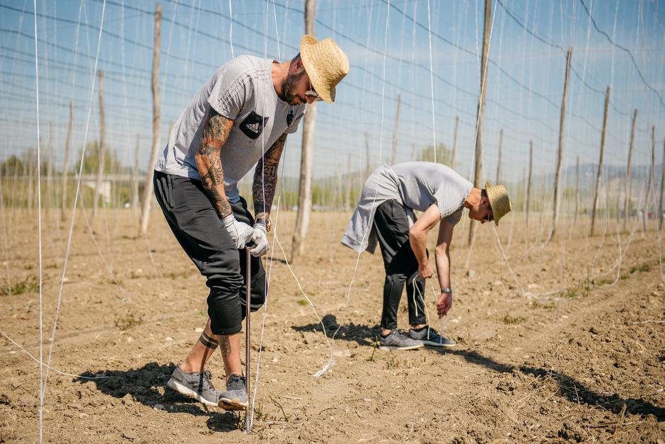 Pivovarna Laško | Avtor: Pivovarna Laško