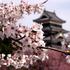 Grad Matsumoto, Japonska