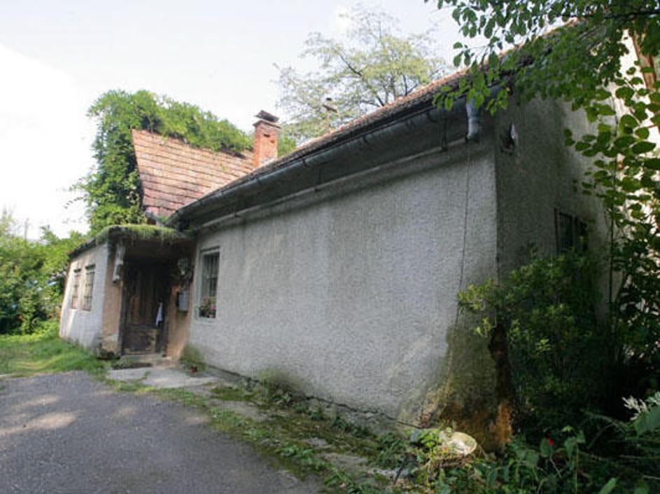 Sin je osumljen, da je svojo mamo s kovinsko berglo in kovinskim ročajem metle v