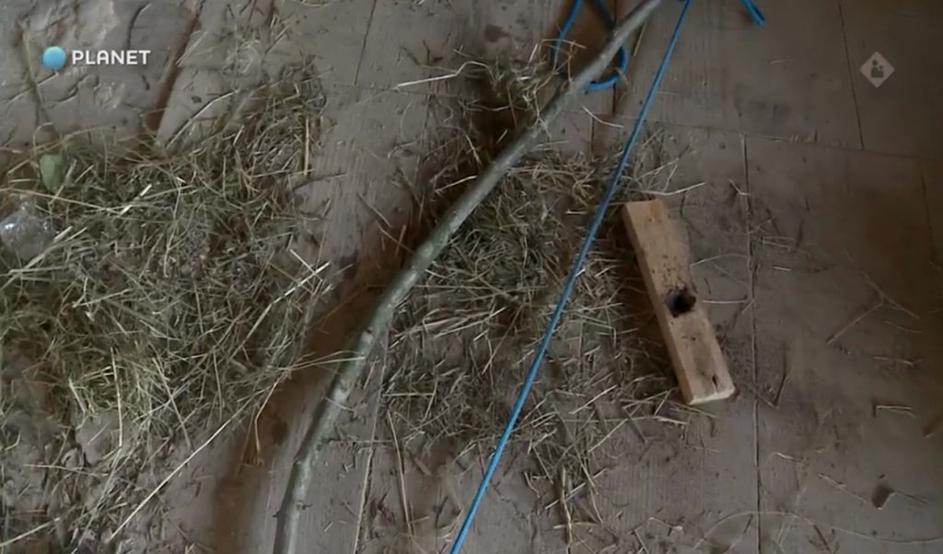 Kmetija: Nov začetek, ogenj