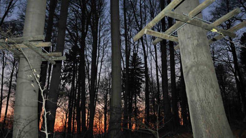 Nekatere krajane nastajanje pustolovskega parka v Tivoliju moti, a Matija Koren 