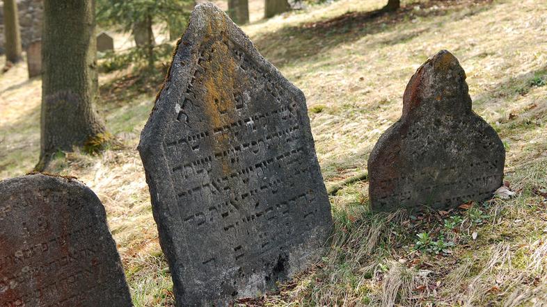 Slika je simbolična. (Foto: Shutterstock)