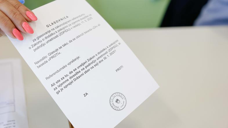 referendum o uveljavitvi zakona o dodatku k pokojnini za izjemne dosežke na področju umetnosti