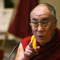 Dalajlamov odposlanec obžaluje Ruplove besede.