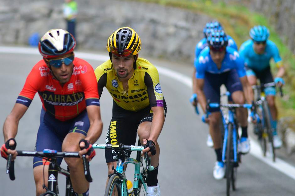 Vincenzo Nibali in Primož Roglič | Avtor: Profimedia