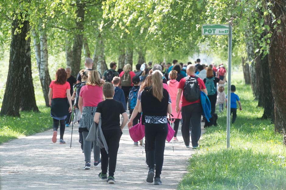 pot ob žici | Avtor: Anže Petkovšek