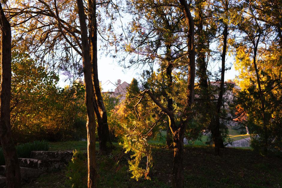 Štanjel | Avtor: Profimedia