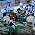 Telemach Olimpija Medveščak liga Ebel Bežigrad stadion Ice Fever Cvetek