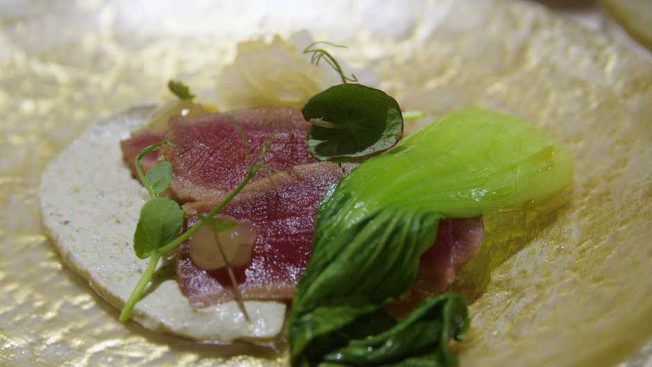 Riba, raca, rak; Anja Jenko | Avtor: Planet TV