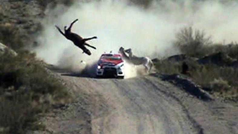 Nenavadno nesrečo je v svoj objektiv ujel tudi eden od fotografov, ki je bil pri