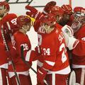 Detroit Red Wings : San Jose Sharks 3:1