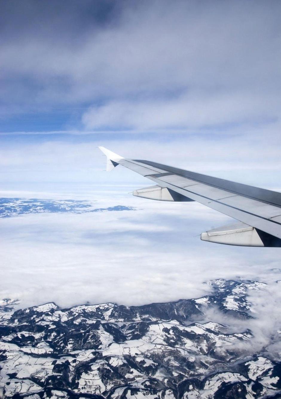 Andi letalo | Avtor: Profimedia