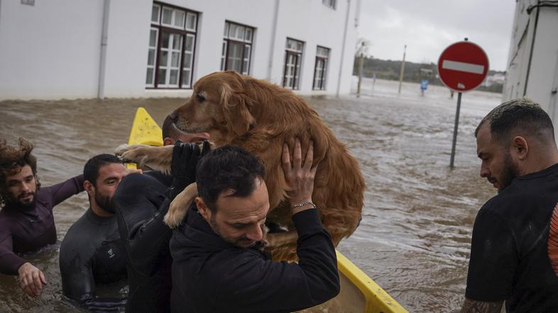 Poplave