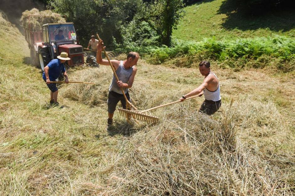 Predsednik republike Borut Pahor | Avtor: Facebook račun predsednika republike Boruta Pahorja