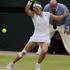 Flipkens Wimbledon OP Anglije grand slam
